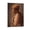 Frame-style, variant on Luis Ricardo Falero Vintage Art Canvas Print Poster Posters Art Print Wall Photo Paint Poster Hanging Picture Family Bedroom Decor Gift 12x18inch(30x45cm)