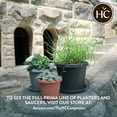 thumbnail image 7 of The HC Companies 14" Round Prima Plastic Plant Saucer - Indoor Outdoor Plant Trays for Pots - 14.17"x14.17"x1.69" in Sandstone Pack of 2, 7 of 7