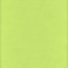 David Textiles Inc. 42" 100% Cotton Flannel Solid Sewing & Craft Fabric By the Yard, Bright Green
