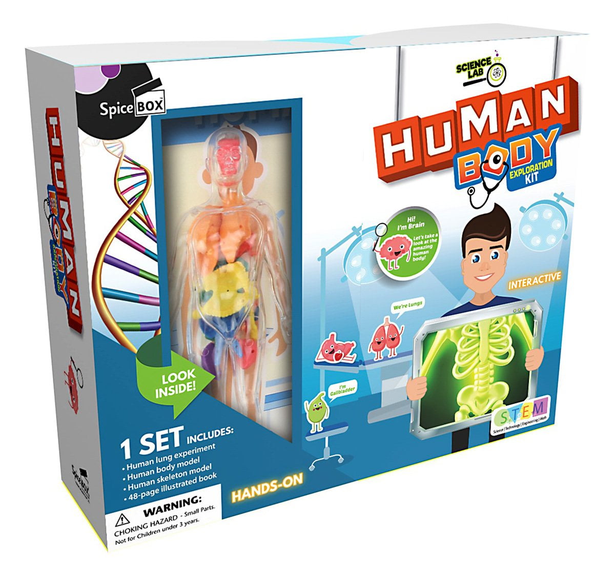 smart lab you explore it human body model