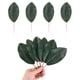 thumbnail image 1 of Paquete de 10 hojas artificiales, hoja verde falsa con tallos para manualidades 6.3x19.5cm, 1 of 1
