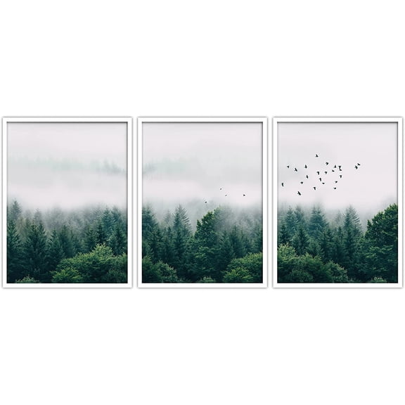 PixonSign Framed Wall Art Collage Print Gallery Set Birds Fly Over Cloudy Forest Nature Wilderness Photography Realism Rustic Landscape Relax/Calm for Living Room, Bedroom, Office - 12"x16"x3 WHITE