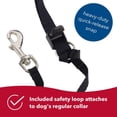 thumbnail image 5 of Coastal Pet Walk'n Train Head Halter Size 1 (13-17 Neck & 4-6 Snout Circumference), 5 of 7