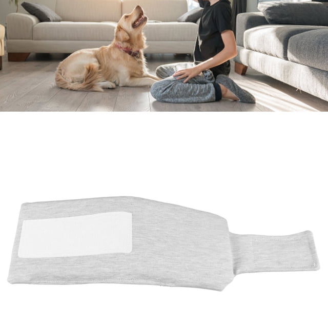 Collar De Recuperación Para Perros, Duradero, Fácil De Limpiar, Suave, Previene Mordeduras, Soporte De Cuello Ajustable Para Perros Para Gatos