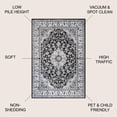 thumbnail image 4 of JONATHAN Y MODERN PERSIAN 5 x 8 Area Rug, Palmette Floral - Cream/Gray/Black, MDP503B-5, 4 of 9