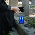 thumbnail image 3 of Stainless Steel Cat Urn Pet Bone Ash Container Dog Ashes Storage Casket, 3 of 7