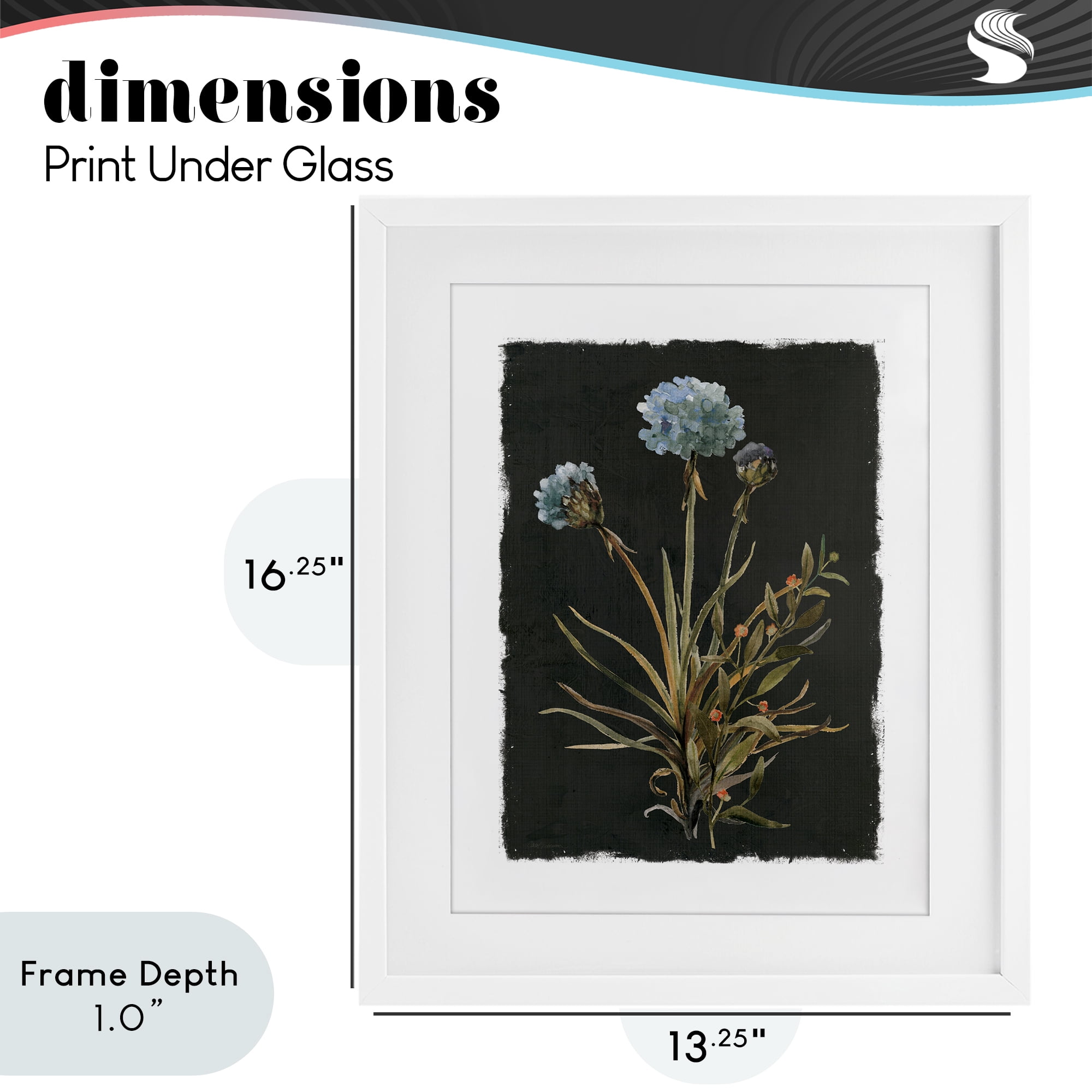 Stupell Industries Cerulean Bloom on Dark Green White Framed Print Under Glass, design by Carol Robinson