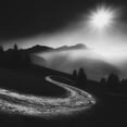 thumbnail image 2 of Schulz, Alexej 12x12 White Modern Wood Framed Museum Art Print Titled - Elan, 2 of 4