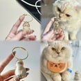 thumbnail image 6 of Acrylic Cats Furs Display Case with Rope Pet Hair Collection Container Keychain Pendant For Pet Memorabilias Decors, 6 of 8