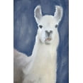 thumbnail image 2 of Kimberly, Allen 11x14 Gold Ornate Wood Framed with Double Matting Museum Art Print Titled - Llama on Navy, 2 of 4