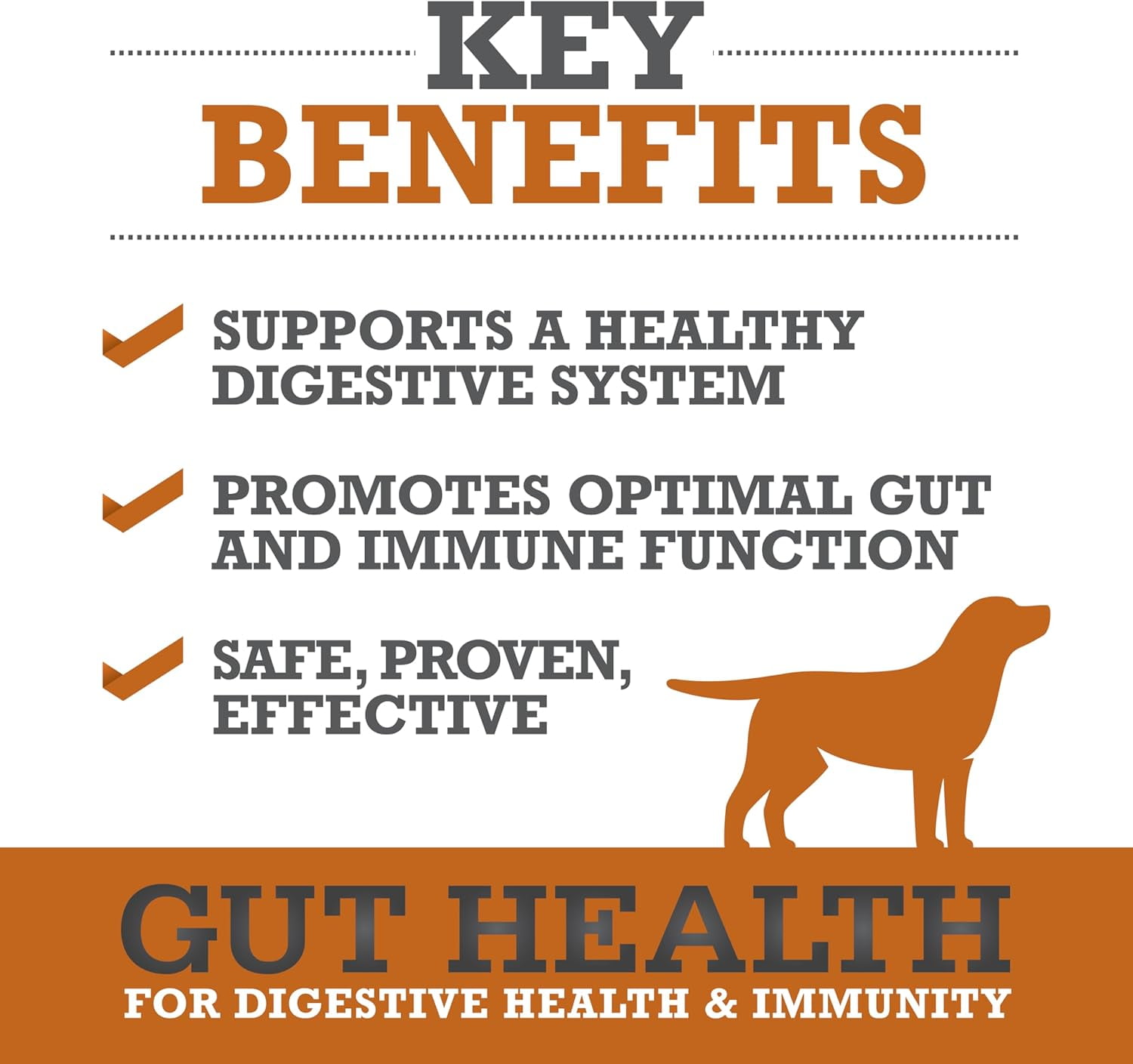 WINPRO Dog Gut Health Supplement – Plasma-Powered Soft Chews for Dog Immune Health Support & Gut Health, Made with Natural Ingredients for Dogs of All Breeds & Sizes - 60 Count