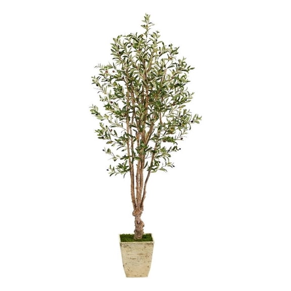 Nearly Natural 6.5ft Olive Artificial Tree in Country White Planter in Green