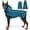 Green, variant on Amztom Dog Winter Hooded Jacket, Warm Fleece Lined Coat with Reflective Strips, Adjustable Side Waist & Leg Loops, for Small to Large Dogs(Purple, S)