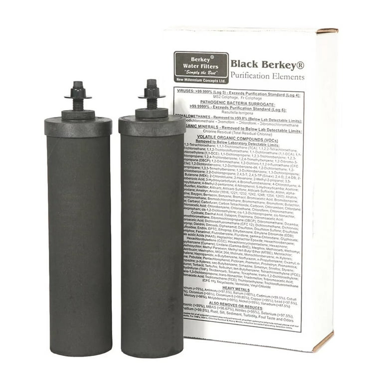 Black Berkey Purification Elements Water Filters (Set of 2)