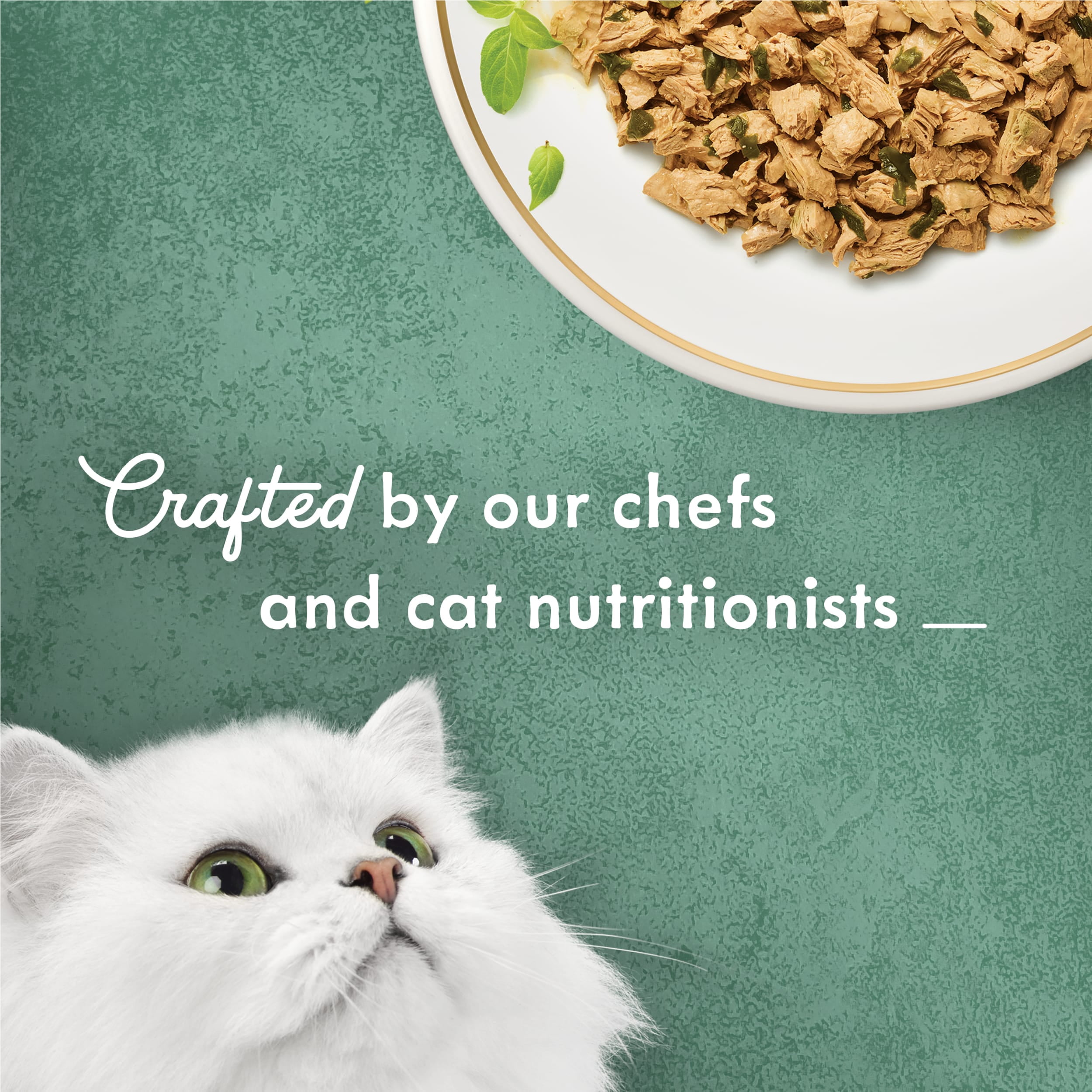 (24 pack) Purina Fancy Feast Medleys Cat Food, Wet Cat Food, Shredded Chicken & Spinach, 3 oz Can
