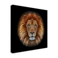 thumbnail image 2 of Ben Heine 'Lion Face Made Of Circles' Canvas Art, 2 of 3