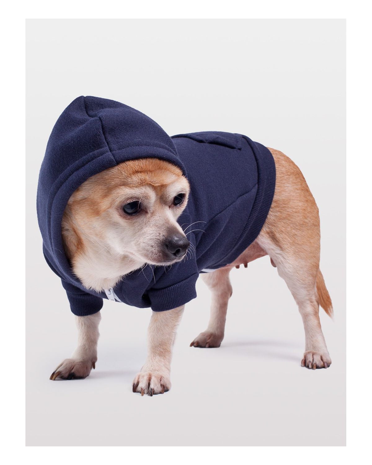 American Apparel Flex Fleece Dog Zip Hoodie