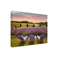thumbnail image 2 of Trademark Fine Art 'Lavender Chairs Horton Bay Michigan Color' Canvas Art by Monte Nagler, 2 of 3