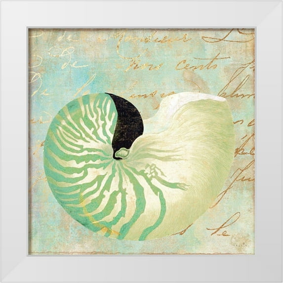 Sophie 6 20x20 White Modern Wood Framed Museum Art Print Titled - Beach Nautilus II