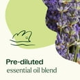thumbnail image 5 of Plant Therapy Blissful Dreams Pre-Diluted Essential Oil Roll-On Blend 10 mL (1/3 oz) 100% Pure, Natural Aromatherapy, 5 of 9
