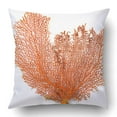 thumbnail image 1 of ABPHQTO Gorgonia Roja O Abanico De Mar Rojo Coral Aislado Funda De Almohada Funda De Cojín 50x50 cm, 1 of 1