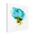 thumbnail image 2 of Jennifer Goldberger 'Blooming Cyan II' Canvas Art, 2 of 3