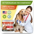 Allergy Relief Dog Treats w/ Omega 3 + Pumpkin + Enzymes + Turmeric Itchy Skin Relief Immune
