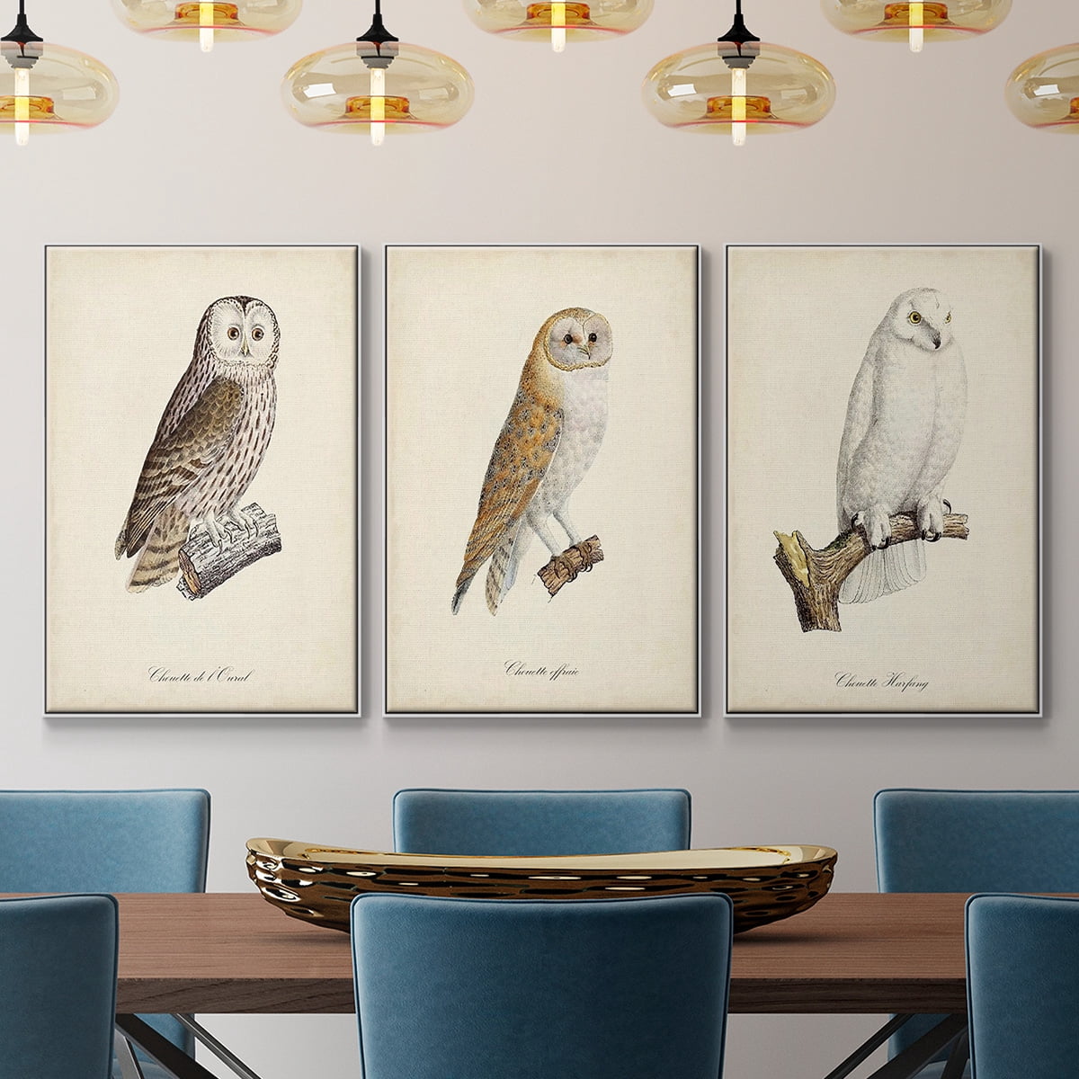 French Owls IV - Framed Premium Gallery Wrapped Canvas L Frame 3 Piece Set - Ready to Hang
