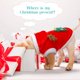 thumbnail image 3 of Ropa navideña para perros, abrigo para perros, disfraz para perros pequeños, disfraz navideño para perros, abrigo con capucha para mascotas de invierno, ropa para perros, ropa para mascotas (XS), 3 of 4