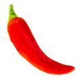 thumbnail image 1 of Silvervine Jumbo Chili Cuddle Toy, 1 of 3