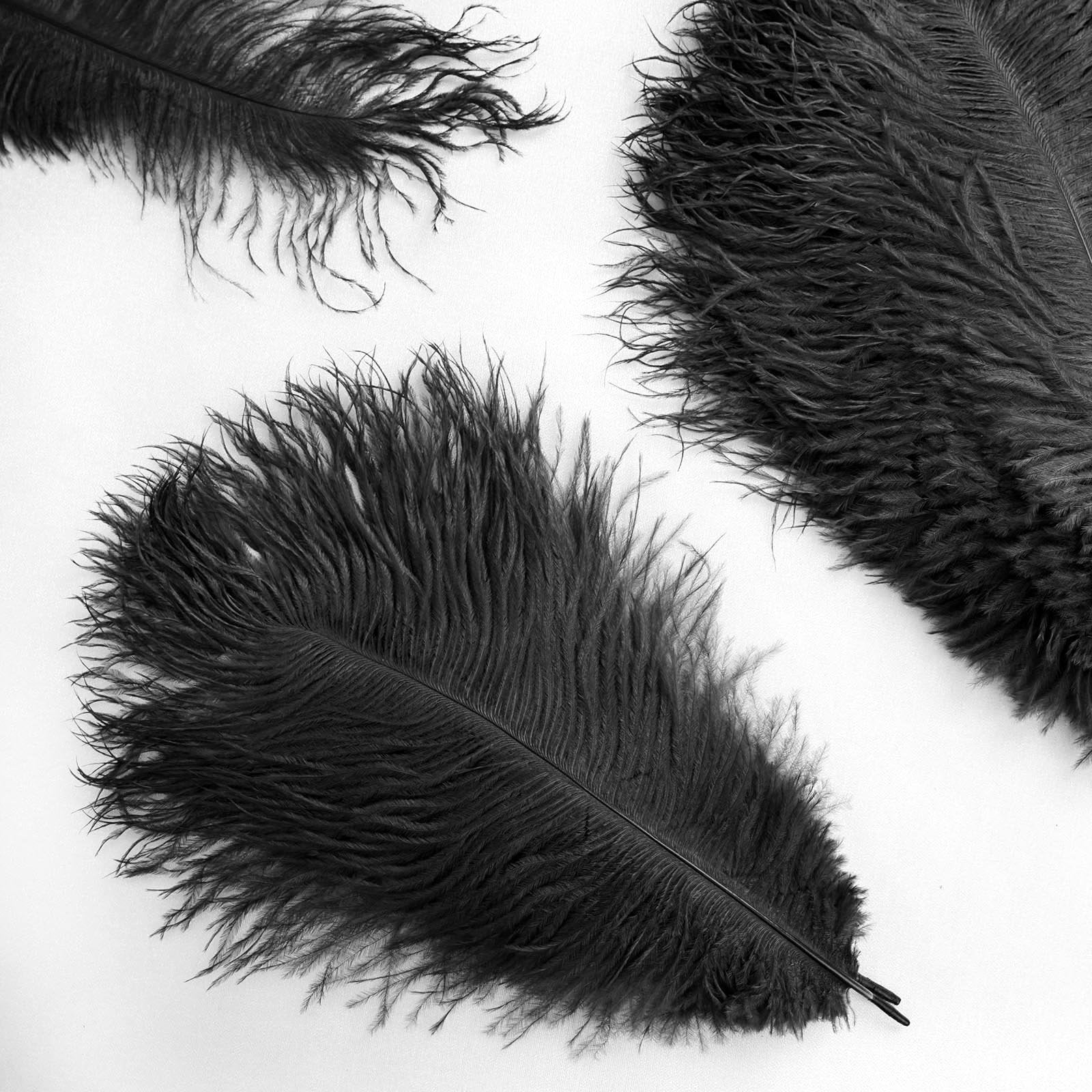 long ostrich feathers