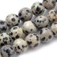 thumbnail image 1 of Natural Dalmatian Jasper Beads Strands Round 8mm Hole: 1mm about 45~48pcs/strand 15 inch, 1 of 3
