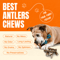 thumbnail image 5 of Tibetan Dog Chew Whole Antler Small Pack, Natural Elk and Deer Chews for Small Dogs, 5 of 10