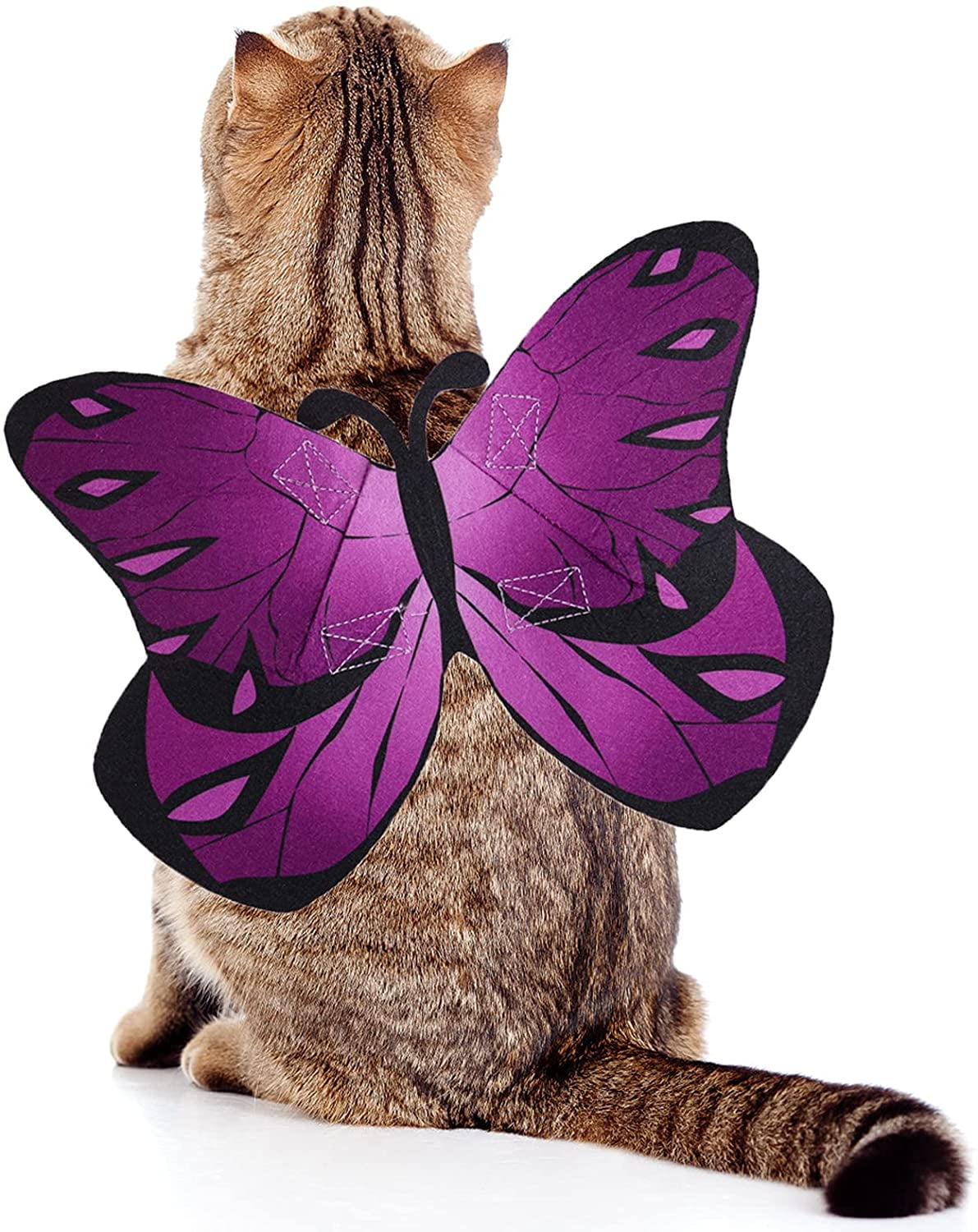 cat butterfly costume