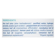 (Pack Of 3) EssentialOxygen Mouthwash Peppermint 32 Oz