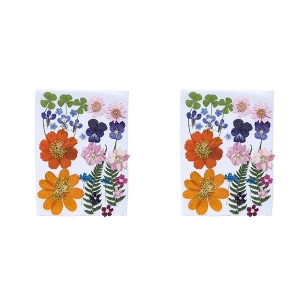 Bearachild Flores secas naturales en relieve flores prensadas decoración colorida colgantes hogar para tarjetas de boda de resina Type4 NO4