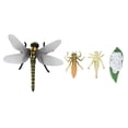thumbnail image 1 of de Vida de una LibéLula Insectos Ciclos de Vida Modelo de Crecimiento NiñOs  de Crecimiento Animal  Juguetes Educativos, 1 of 1