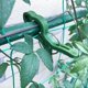 thumbnail image 2 of 60pcs Tomato Stem Support Clips Plant Stem Straightening Clips Phalaenopsis Clips, 2 of 4