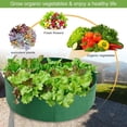 thumbnail image 4 of Plant Grow Bags, Round Raised Garden Planting Beds Pots, Durable Breathe Cloth Planting Container for Potatoes Vegetables and Fruits, Gardening & Outdoor 100 Gallon, 4 of 5