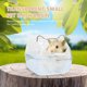 thumbnail image 3 of 1 UNID Transparente PET Baño Aseo Baño externo Caja de arena Hamster Animal Toy, 3 of 5