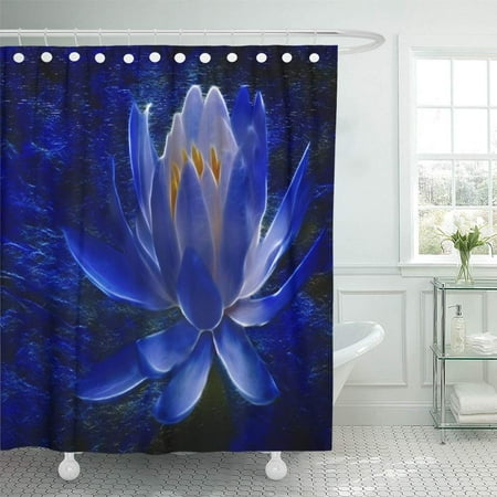 Xddja Blue Lily Lotus Flower And Meaning Floral Photography Spring