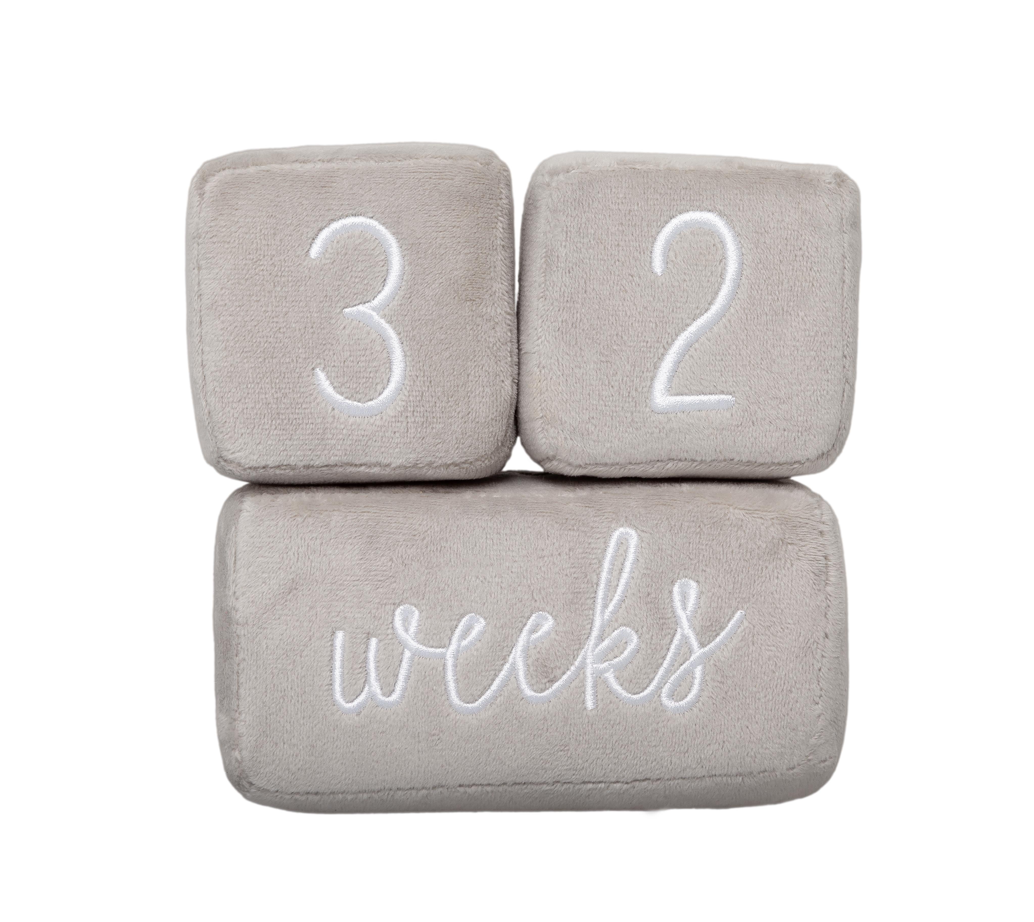 Set of 3 Blocks Pearhead Wooden Baby Photo Sharing Milestone Age Blocks Grey