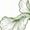 White-5, variant on Giffimy Women's Vintage Sketch Black And White Rose With Leaves Graphic Short Sleeve T-Shirt Casual Crewneck Top