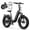 Black, variant on SISIGAD Electric Folding Bike for Adults, 500W Peak 750W Motor, 48V/500WH Battery Long Range, 20mph E Mountain Bike, 20"×4.0" Fat Tire Ebike, SGS