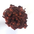 thumbnail image 3 of Purificación en Interiores Sage Natural Bundle Smudge Stick Cleaning White, 3 of 9