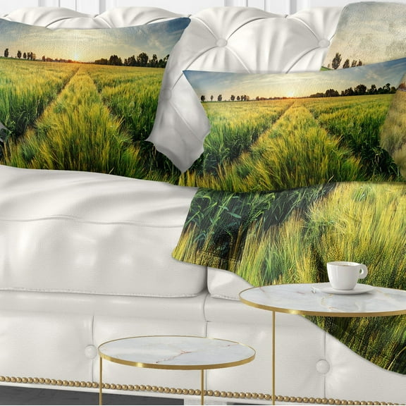 Designart Green Wheat Field at Sunset - Landscape Photography Throw Pillow - 12x20
