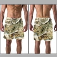 thumbnail image 3 of luoweisi Men's Beach Shorts Quick Dry Swim Trunks with Mesh Lining Map L, 3 of 5