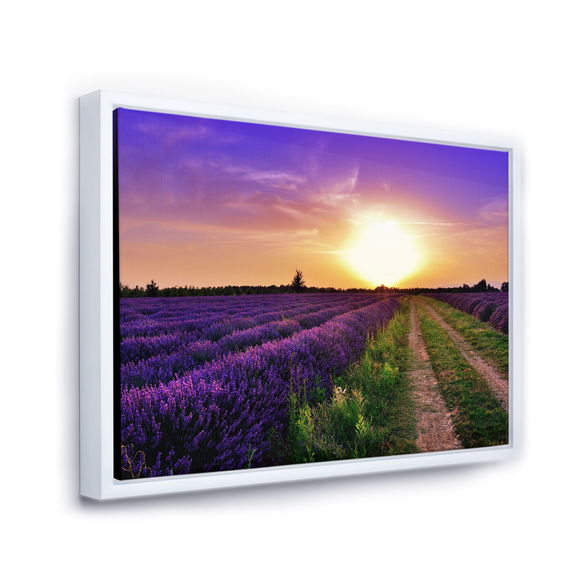 Designart 'Lavender Field At Sunrise II' Farmhouse Framed Canvas Wall Art Print