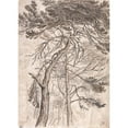 thumbnail image 2 of James Ward 11x14 Black Ornate Wood Framed Double Matted Museum Art Print Titled: Study of Trees, 2 of 5