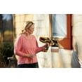 thumbnail image 2 of Wagner Spray Tech Corp 0529010 FLEXiO 590 Airless Sprayer, 2 of 10